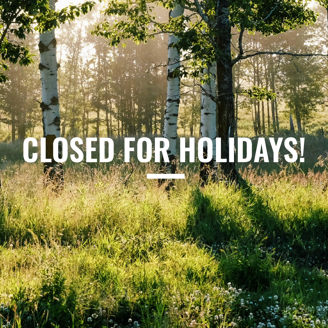 A sunny field with birch trees in the background. A text saying: "Closed for holidays!" in the foreground.